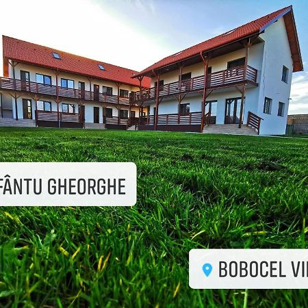 Bobocel Villa Sfântu Gheorghe Exterior foto
